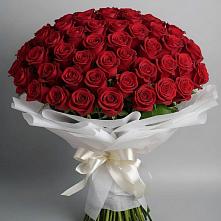 Букет 101 Красная роза Блэк Мэджик в Железнодорожный Московская область