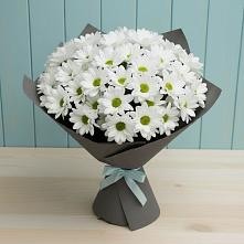 Букет цветов из:  Хризантемы #REPLACE_PRED# Железнодорожный Московская область