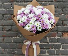 Букет цветов из:  Хризантемы #REPLACE_PRED# Железнодорожный Московская область