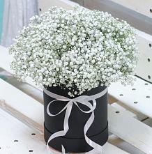 Цветочная композиция из Гипсофила в шляпной коробке #REPLACE_PRED# Железнодорожный Московская область