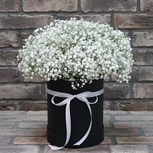 Цветочная композиция из Гипсофила в шляпной коробке в Железнодорожный Московская область