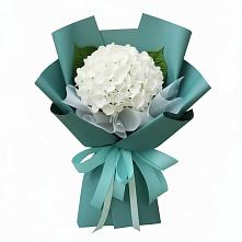 Букет цветов из:  Гортензия в Железнодорожный Московская область